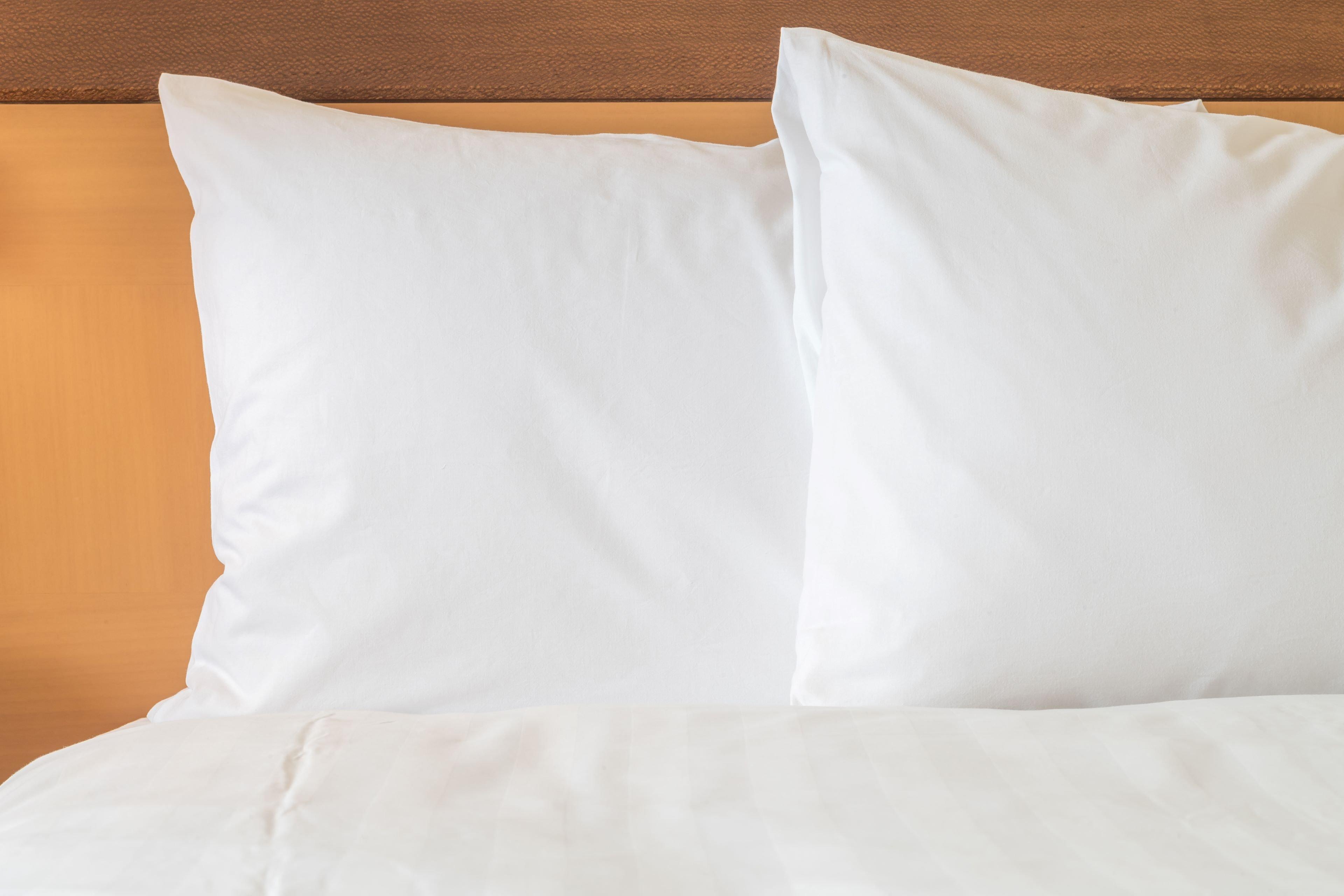 Holiday Inn Express Hotel & Suites Rochester By Ihg מראה חיצוני תמונה